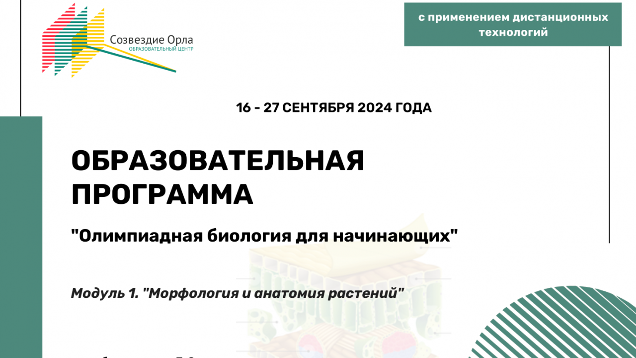 Образовательная программа «Олимпиадная биология  для начинающих. Модуль 1 «Морфология и анатомия растений»