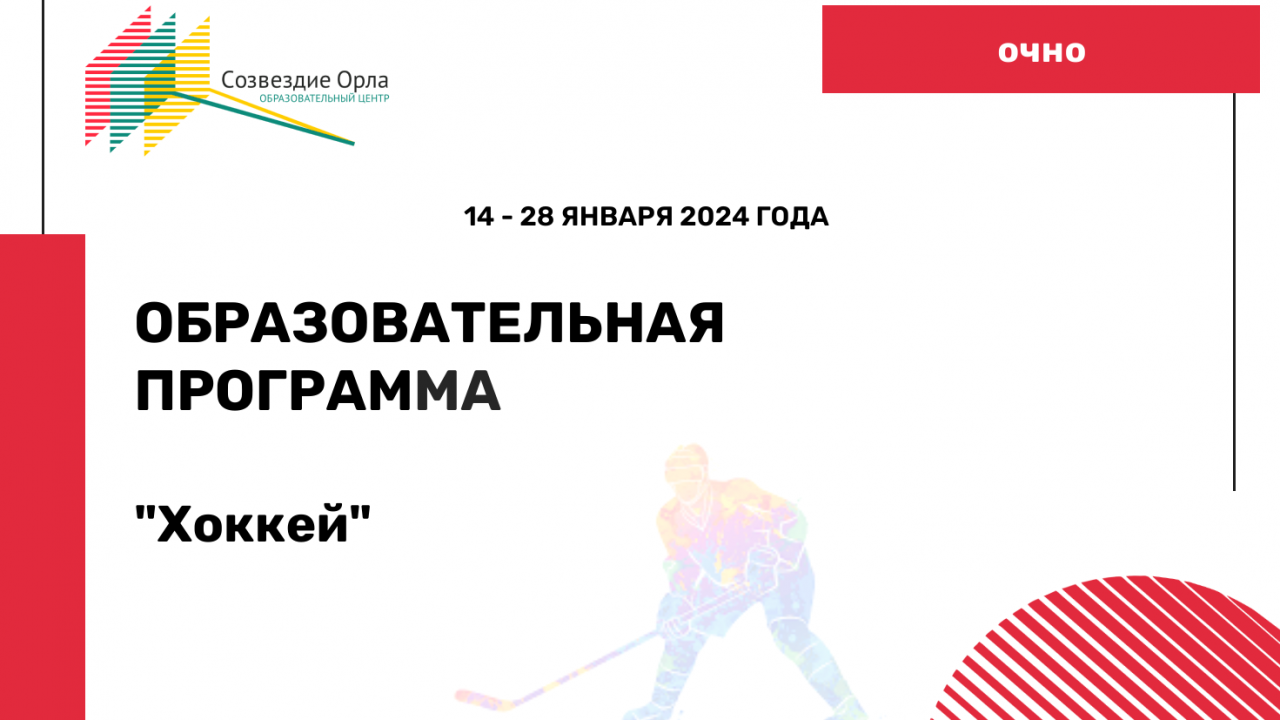 Образовательная программа «Хоккей»