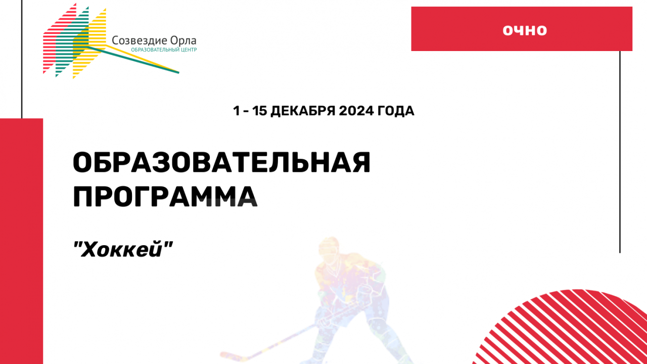Образовательная программа «Хоккей»