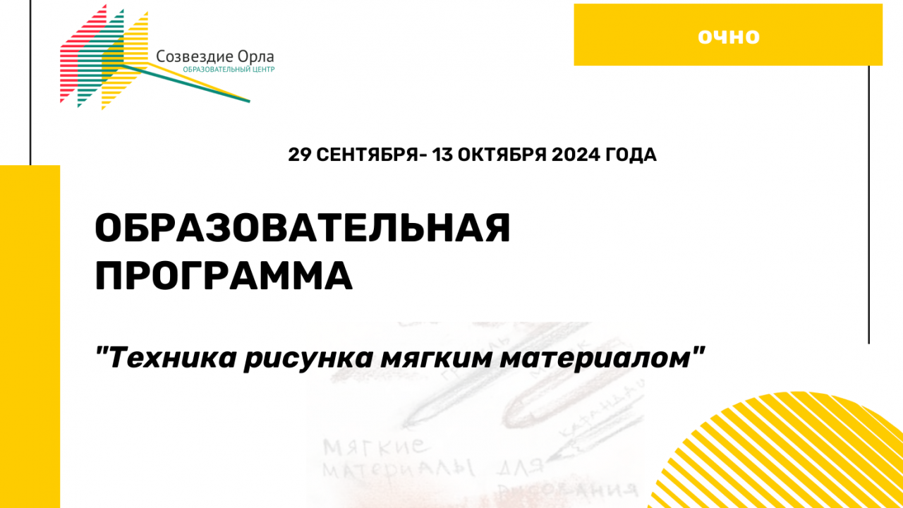 Образовательная программа «Техника рисунка мягким материалом»