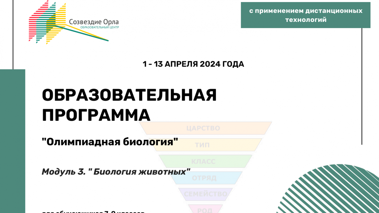 Образовательная программа «Олимпиадная биология. Модуль 3. Биология животных»