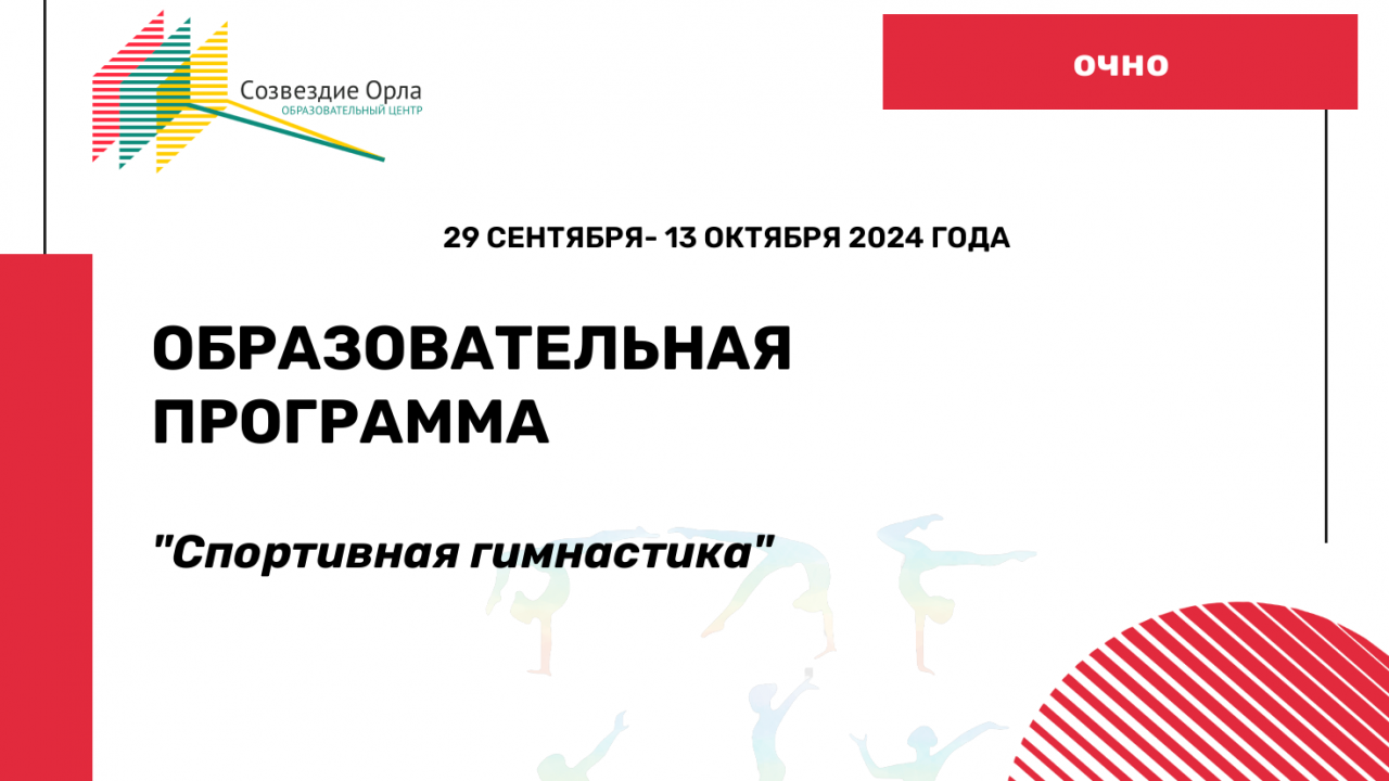 Образовательная программа «Спортивная гимнастика»