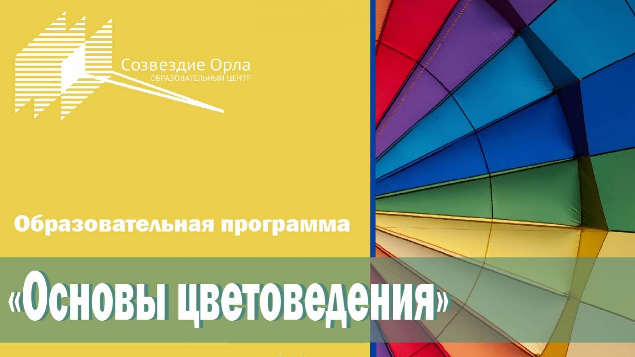 Образовательная программа «Основы цветоведения»
