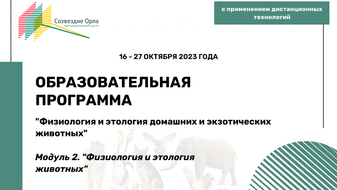 Образовательная программа «Физиология и этология домашних и экзотических животных»
