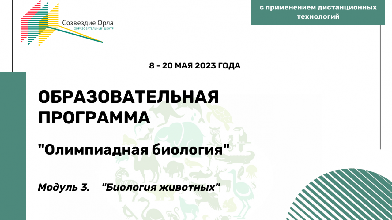 Образовательная программа «Олимпиадная биология. Модуль 3. Биология животных»