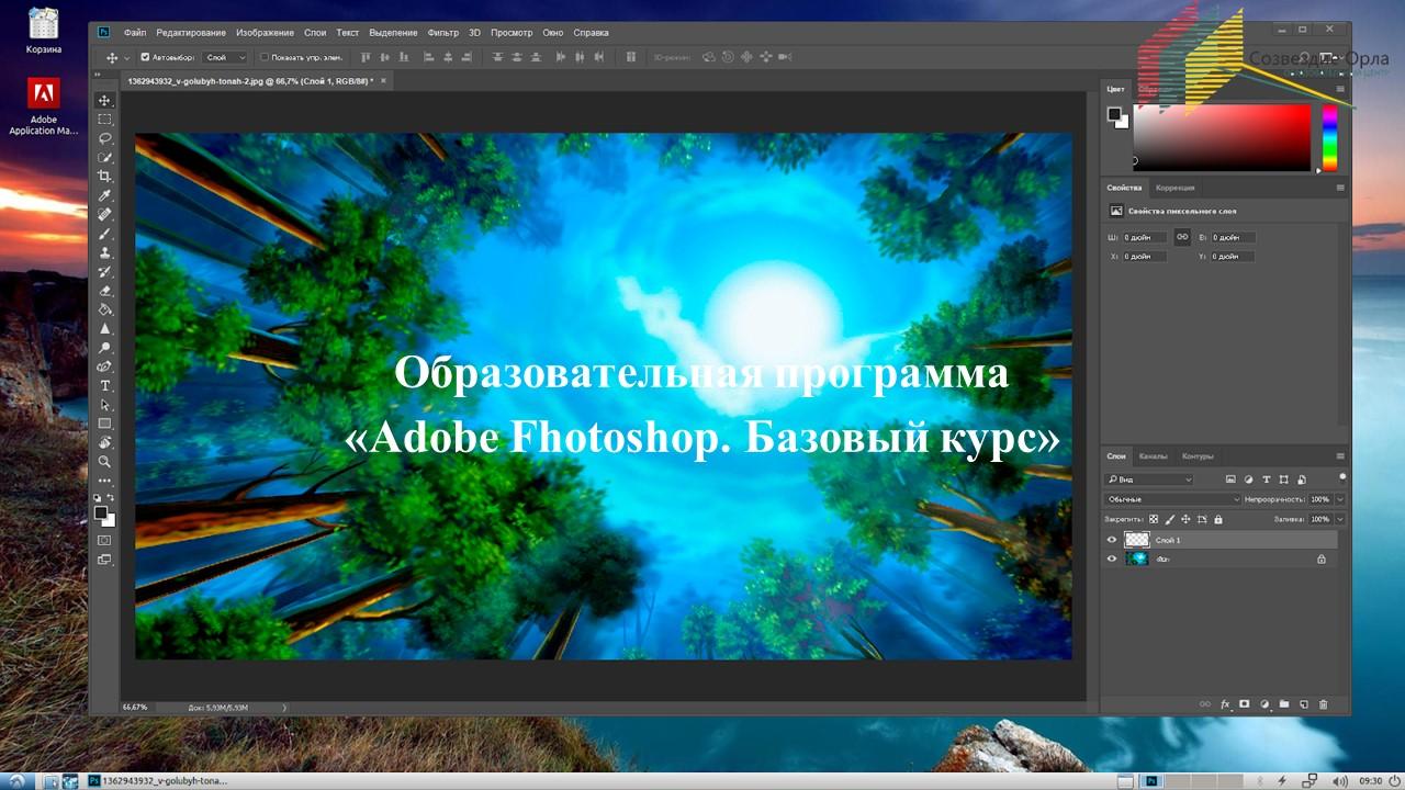 «ADOBE PHOTOSHOP. БАЗОВЫЙ КУРС»