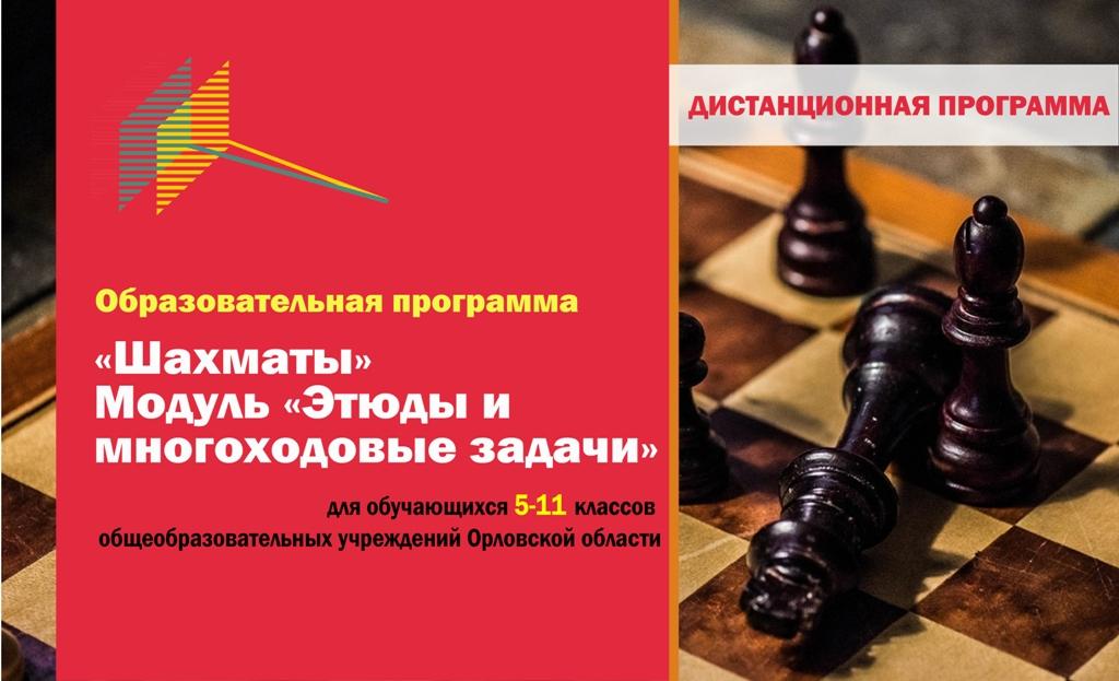 Образовательная программа(модуль спортивной подготовки) по виду спорта «Шахматы» (Модуль «Этюды и многоходовые задачи») с применением дистанционных технологий