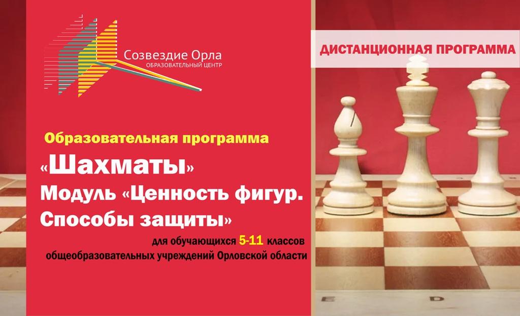 «Шахматы. Модуль «Ценность фигур. Способы защиты» с применением дистанционных технологий