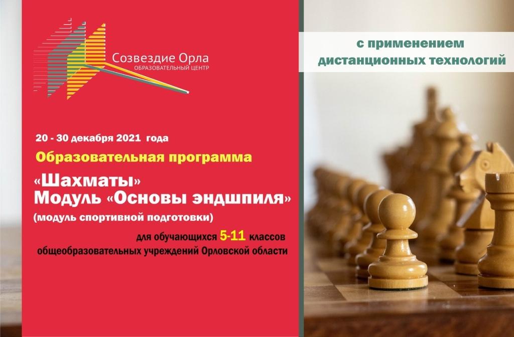 «Шахматы. Модуль «Основы эндшпиля»