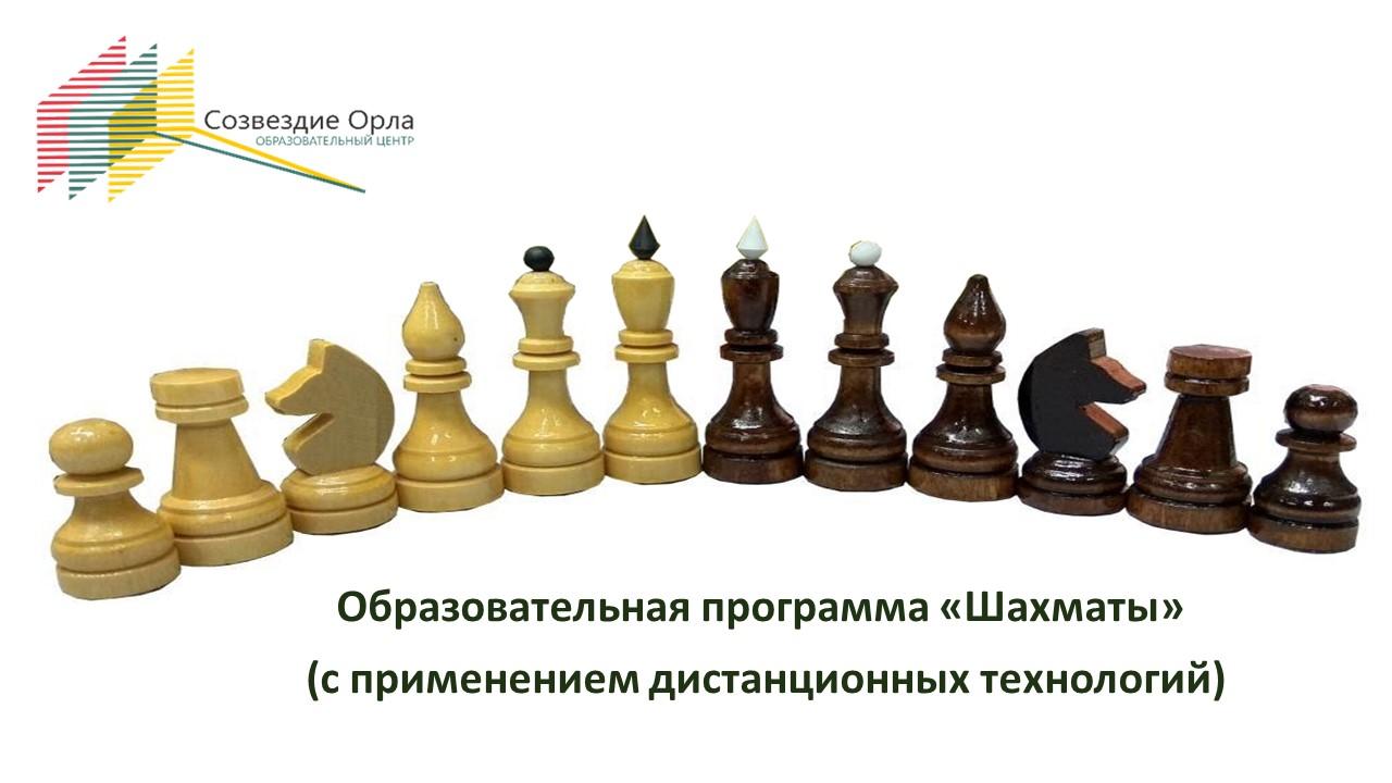 Образовательная программа «Шахматы» с применением дистанционных технологий