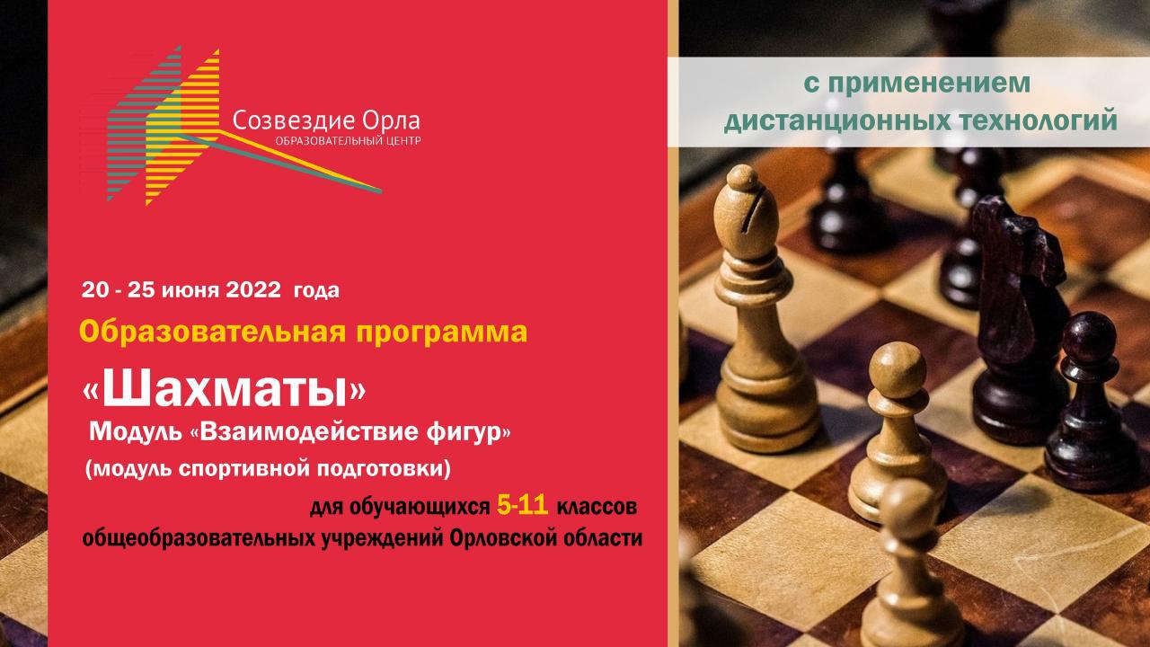 Образовательная программа «Шахматы. Модуль «Взаимодействие фигур»