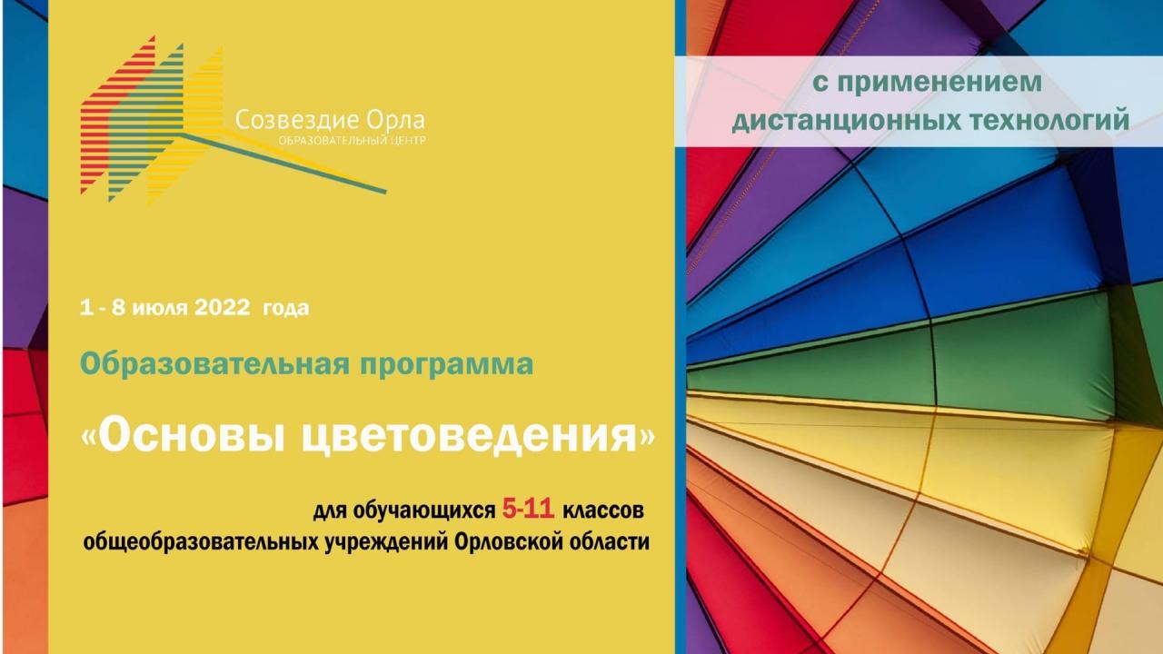 Образовательная программа «Основы цветоведения»