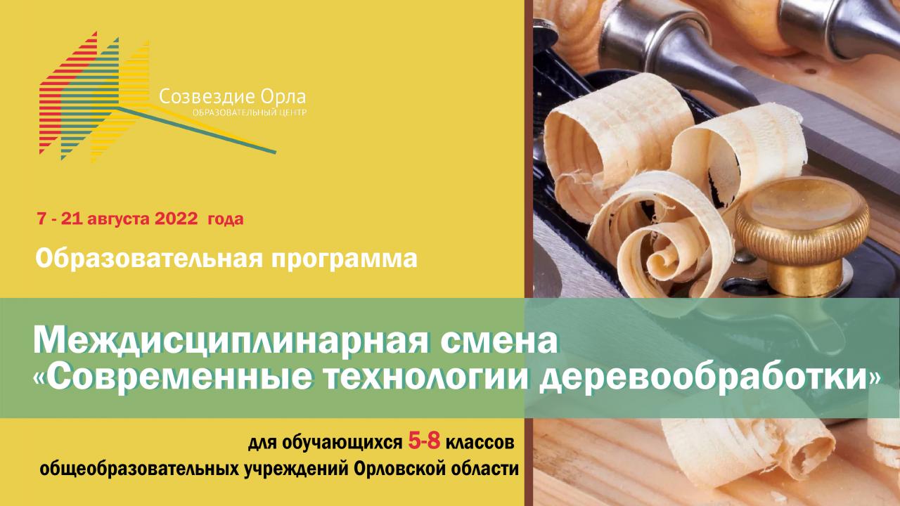 Образовательная программа «Междисциплинарная смена «Современные технологии деревообработки»»