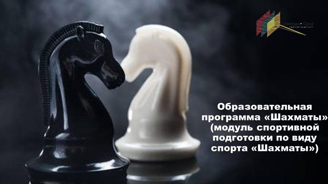 Образовательная программа «Шахматы» (модуль спортивной подготовки по виду спорта «Шахматы»)